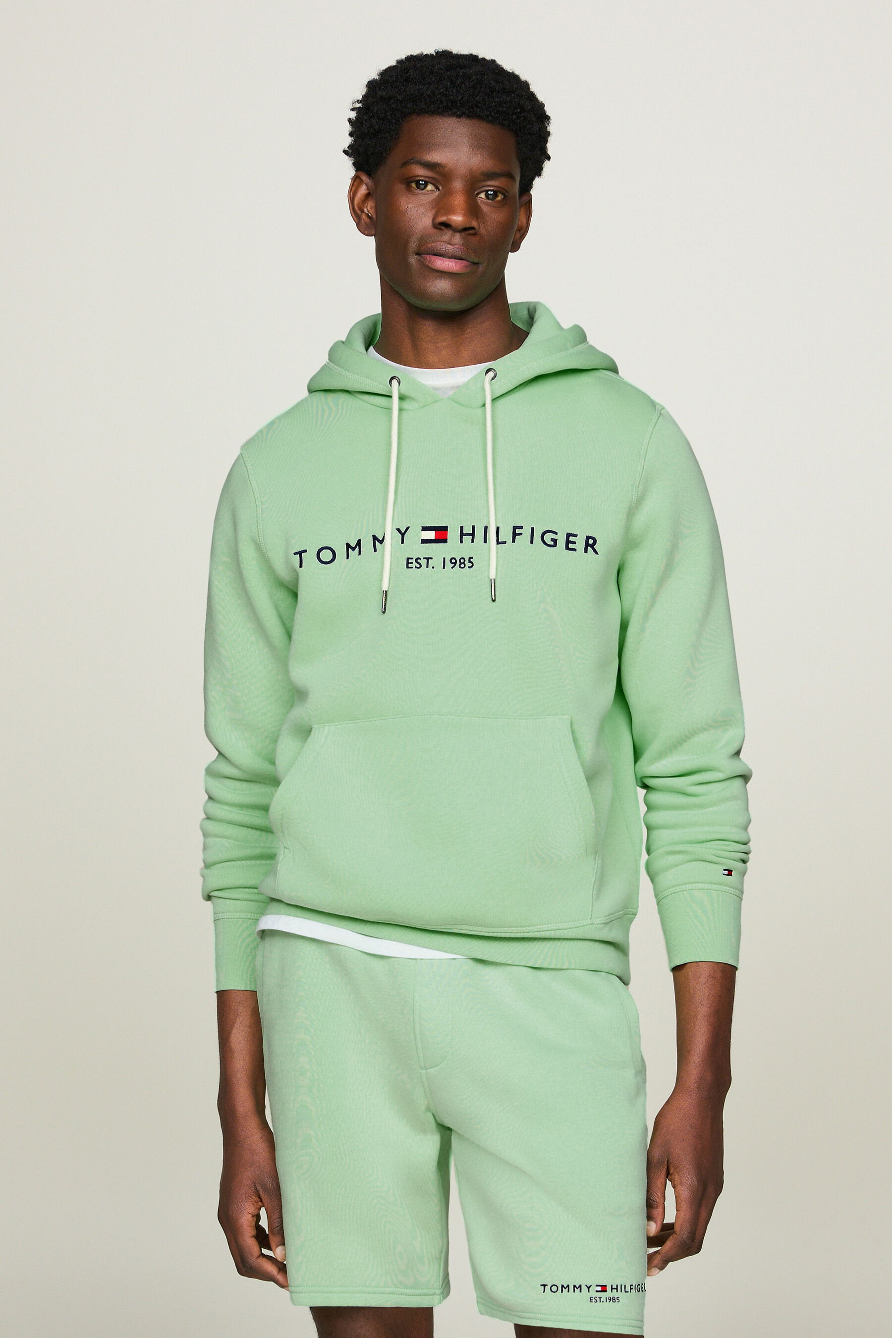 Fashion tommy hilfiger sweat vert